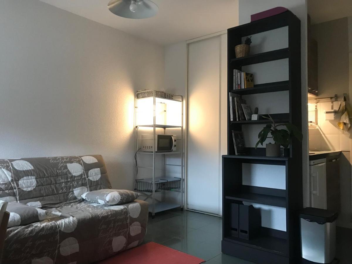 Appartement Dans Toulouse Hyper Centre Ngoại thất bức ảnh